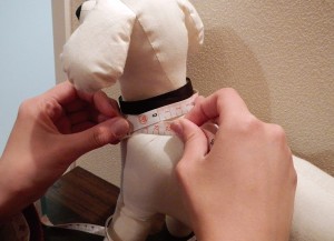 dogwear01