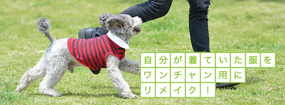 slide02